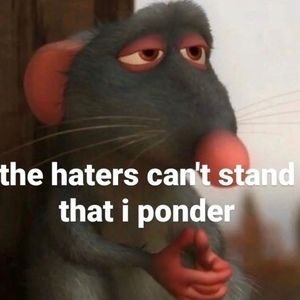 Meet your Posher, Julius